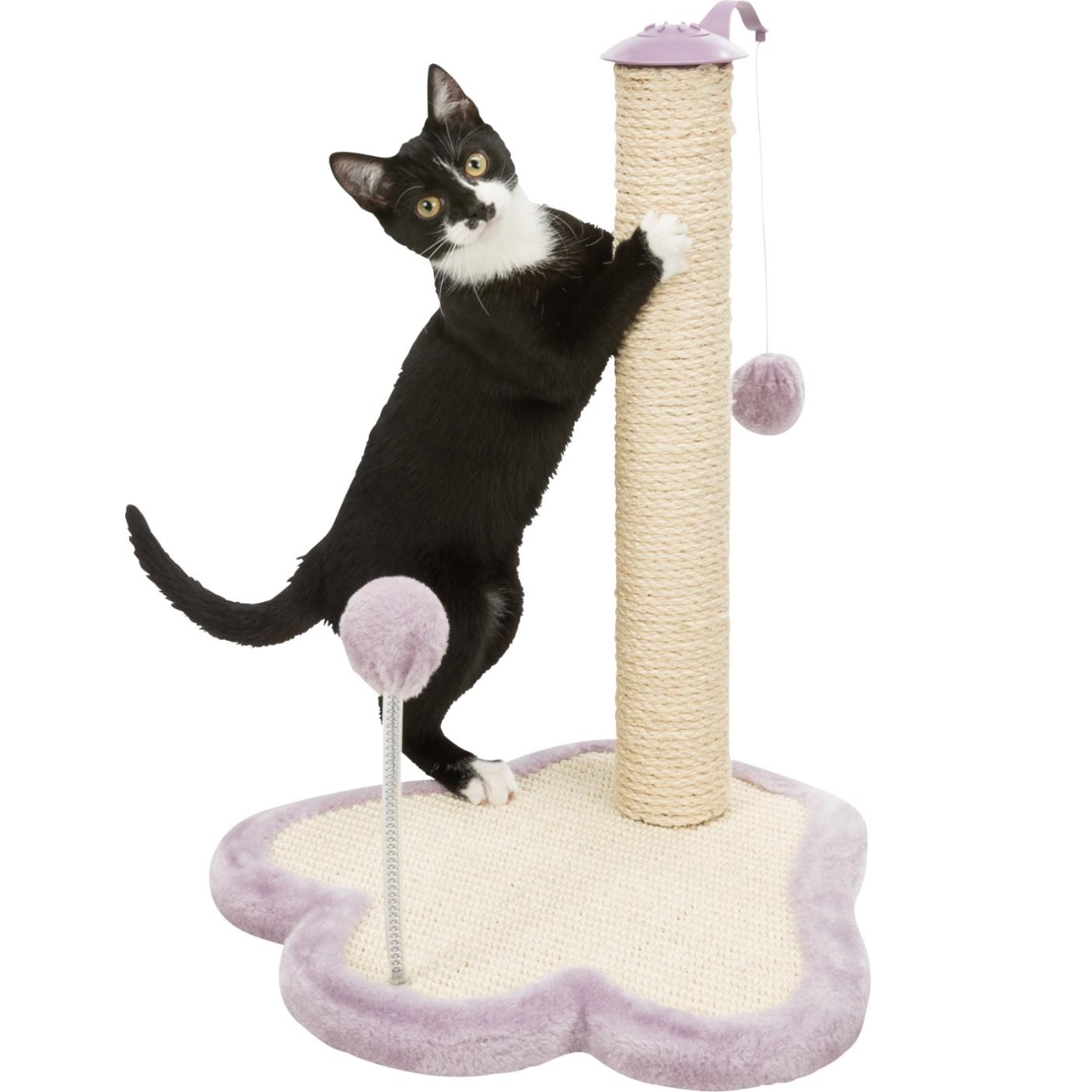Trixie Junior Klorestativ med Leke – Lilla