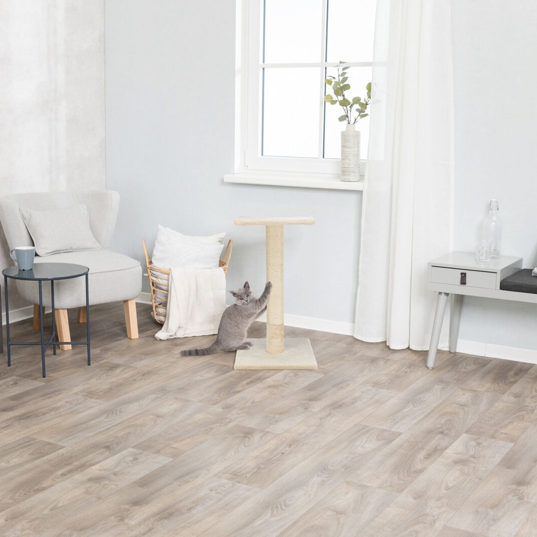 Klorestokk Trixie Baena