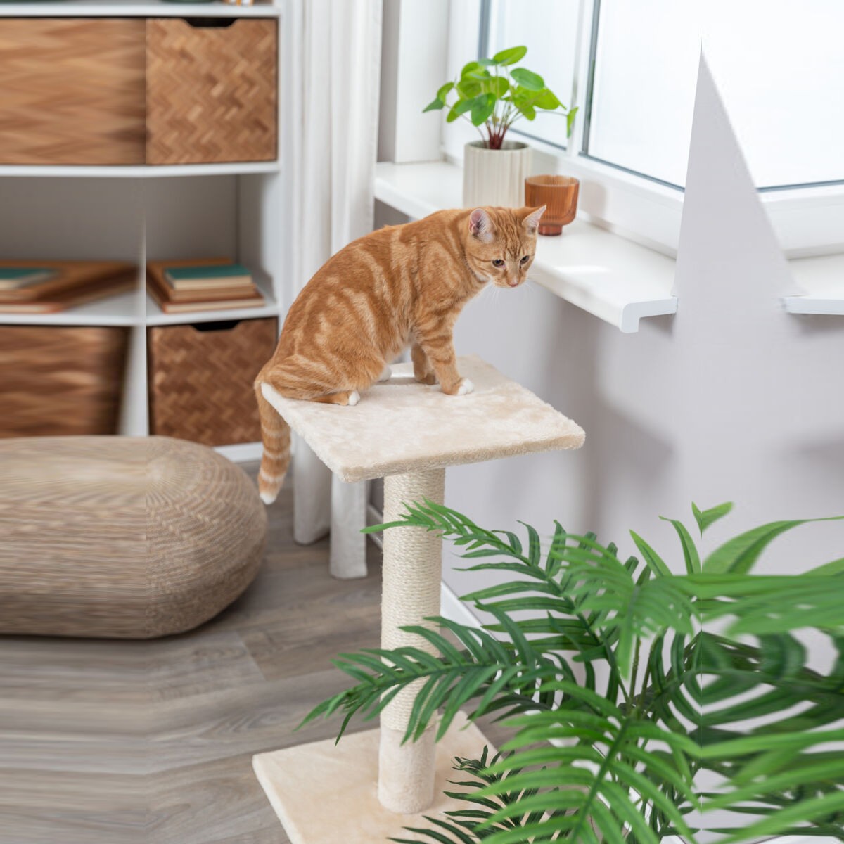 Klorestokk Trixie Baena