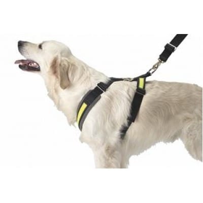 Mim Allsafe Bilsele-Sikkerhetssele til hund