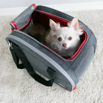 KONG Travel 2‑in‑1 Transportbag og Liggeunderlag