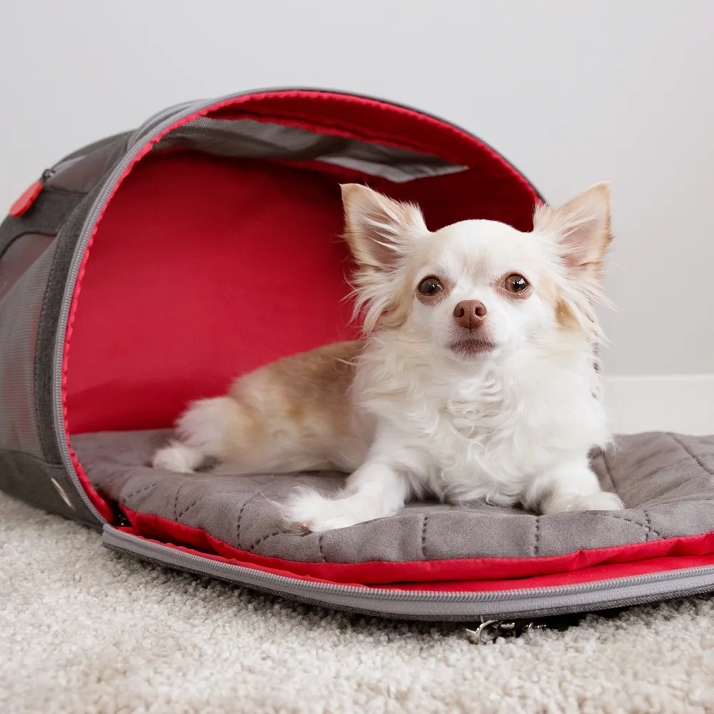 KONG Travel 2‑in‑1 Transportbag og Liggeunderlag