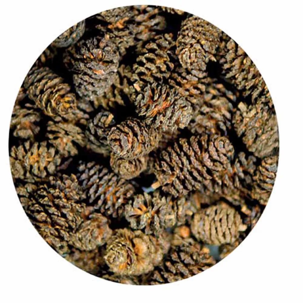 Hobby Alder Cones - Svartor-kongler 50stk Hobby Alder Cones - Svartor-kongler 50stk
