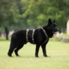 Non-Stop Dogwear Line Harness Long WD Lang Hundesele Non-Stop Dogwear Line Harness Long WD Lang Hundesele