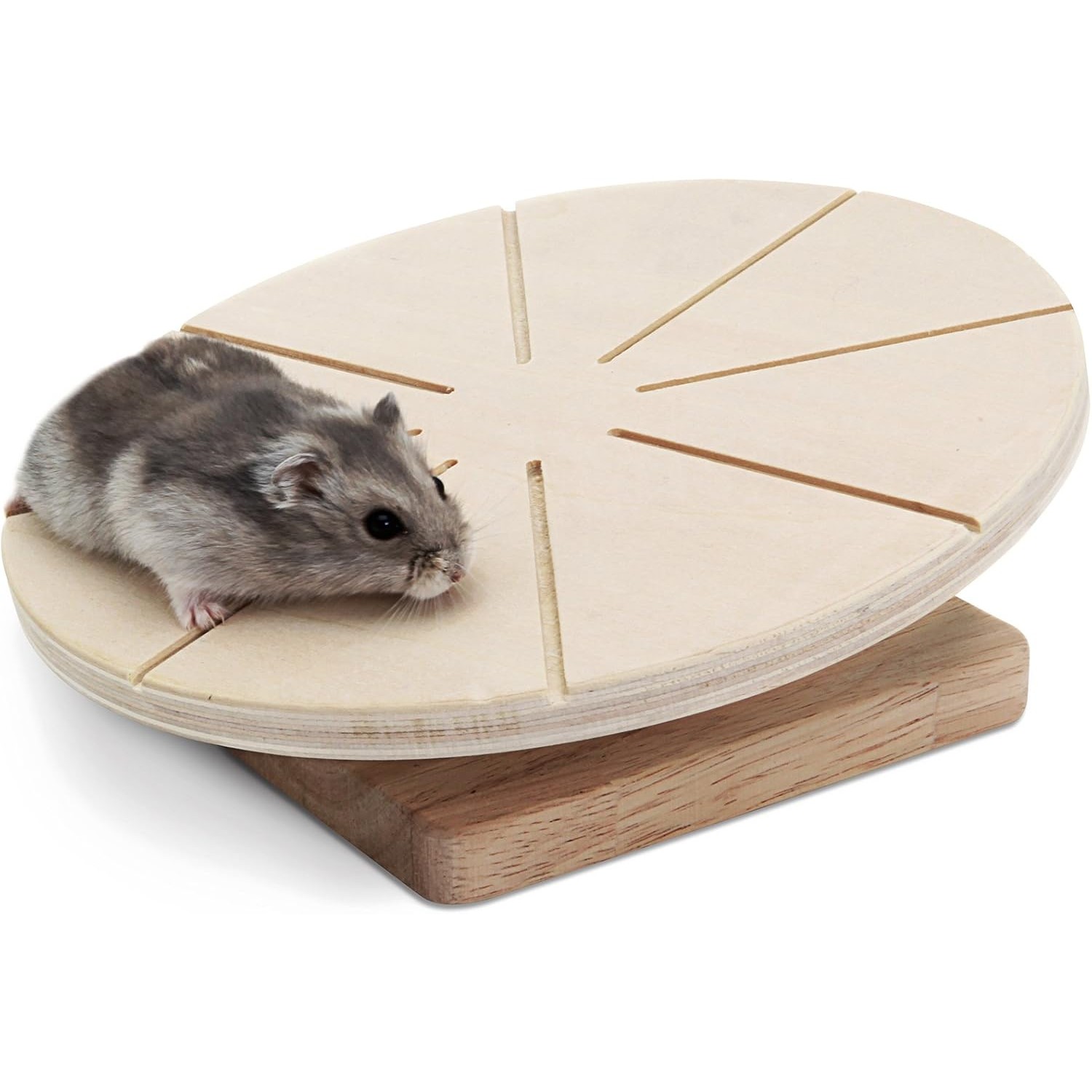 Living World Green Wooden Running Disc