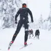 Non-Stop Dogwear Løype Belt Snørekjøring Ski Belte Non-Stop Dogwear Løype Belt Snørekjøring Ski Belte