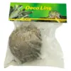 Lucky Reptile Rose of Jericho Live Plant Lucky Reptile Rose of Jericho Live Plant
