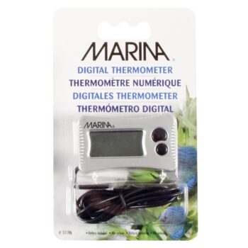 Marina Digital Termometer med sugekopp