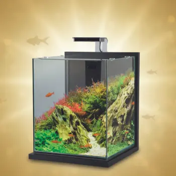 Nanoakvarium Zolux 31L 30×30×35 cm