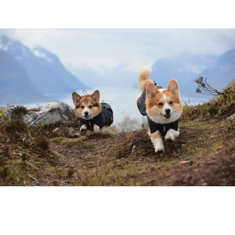 Non-Stop Dogwear Fjord Raincoat Regndekken Lilla Non-Stop Dogwear Fjord Raincoat Regndekken Lilla