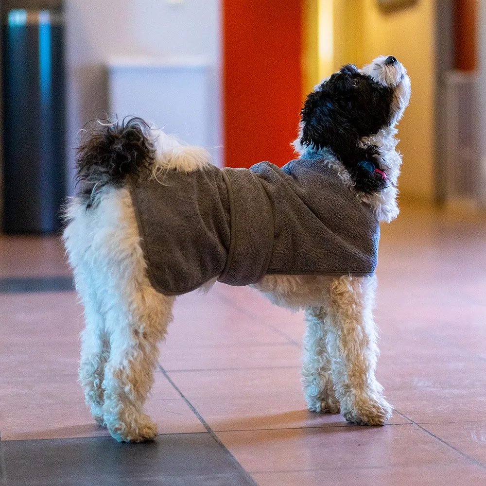 Ozami Badekåpe Frotté Grå 45 cm - hund