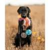 Ozami Play-n-Tug Hundeleke Fuskepels Ball 65 cm Ozami Play-n-Tug Hundeleke Fuskepels Ball 65 cm