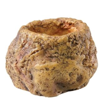 Exo Terra vannskål til slange