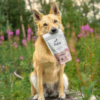 Pala hundeGodbiter kalkun Pala hundeGodbiter kalkun