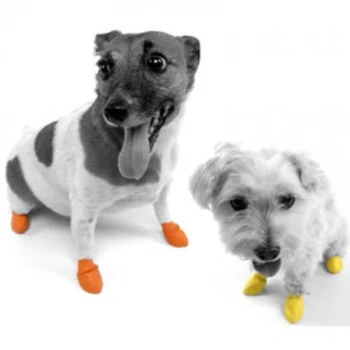 Pawz vanntette engangs sokker- Ballong sokker til hund