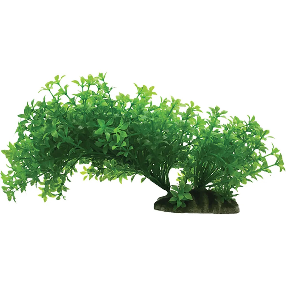 Plastplante bøybar 8.5x20cm Plastplante bøybar 8.5x20cm