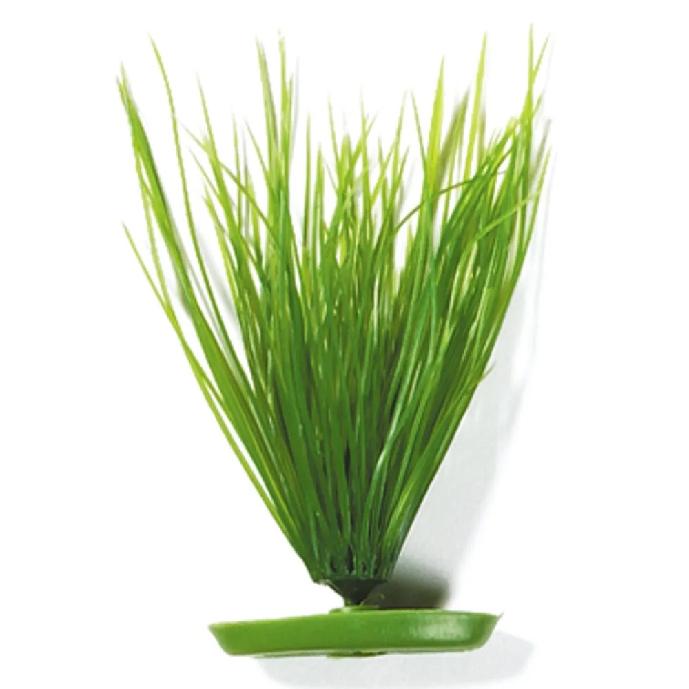 Plastplante Hairgrass