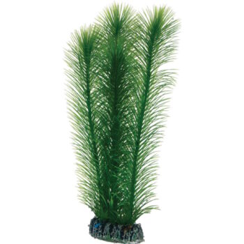 Plastplante Mayaca