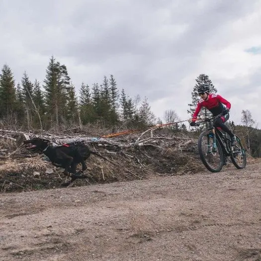 Non-Stop Protector Bootie Hundesokk Potesokk 4pk