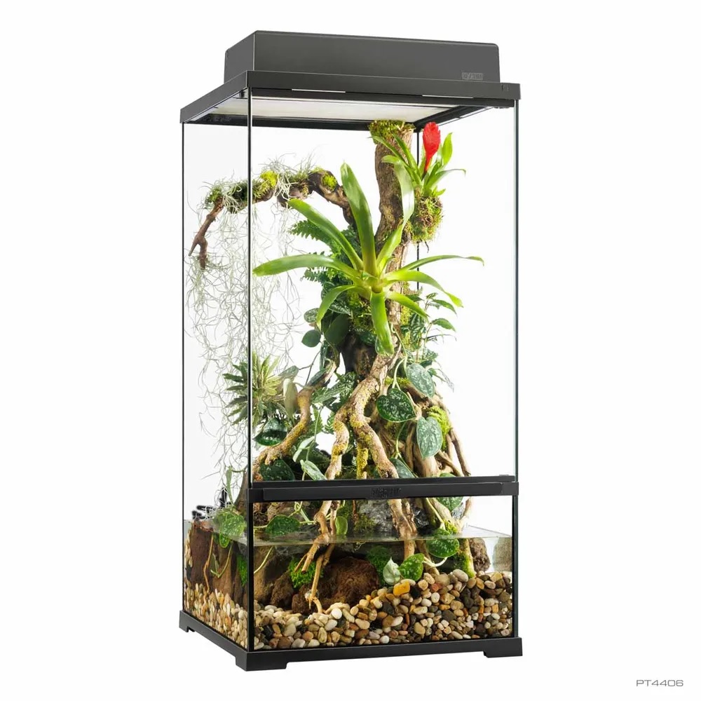 Terrarium Exo Terra Pro Paludarium 45x45x90cm - Small X-Tall