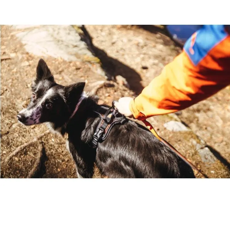 Non-Stop Dogwear Rock Harness - Polstret og Pustende Hundesele Non-Stop Dogwear Rock Harness - Polstret og Pustende Hundesele