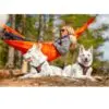 Non-Stop Dogwear Rock Harness - Polstret og Pustende Hundesele Non-Stop Dogwear Rock Harness - Polstret og Pustende Hundesele