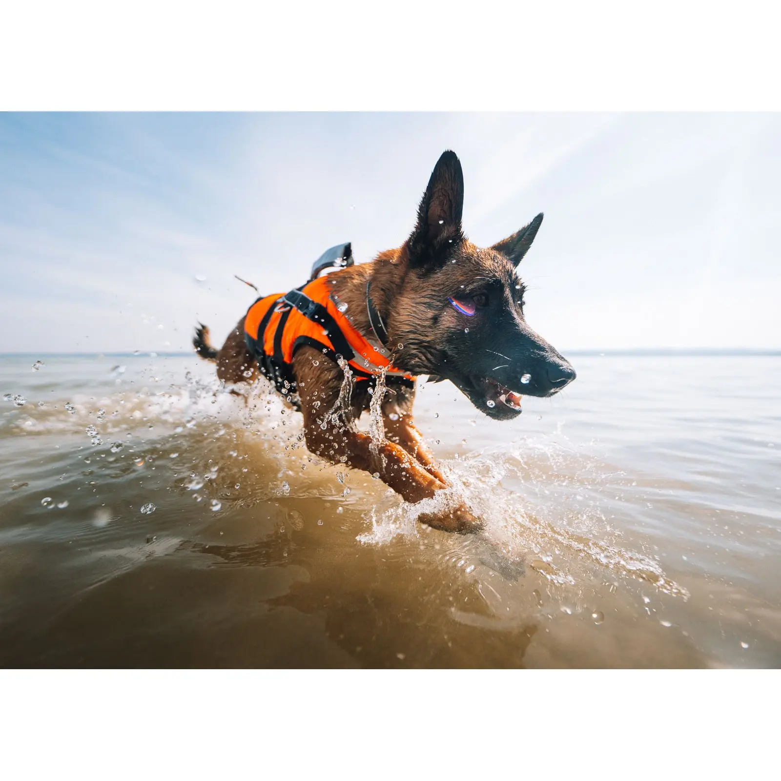 Non-Stop Dogwear Safe Life Jacket 2.0 Flytevest Svømmevest Hund Non-Stop Dogwear Safe Life Jacket 2.0 Flytevest Svømmevest Hund