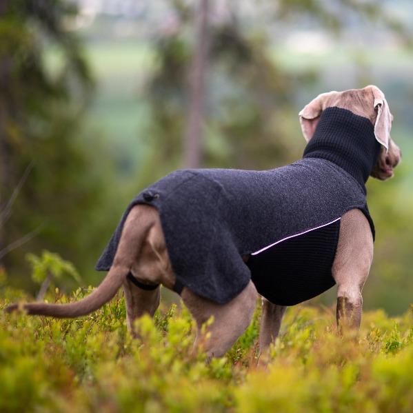 Sidney ulldekken i merinoull – for korthårede hunder