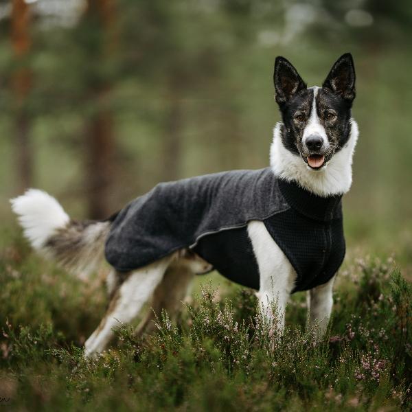 Sidney ulldekken i merinoull – for korthårede hunder