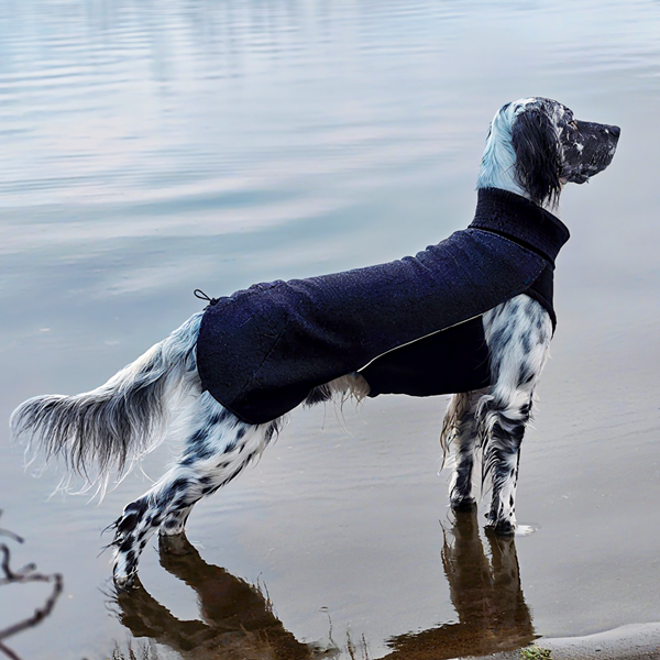 Sidney ulldekken i merinoull – for korthårede hunder