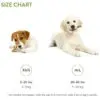 Whimzees Puppy Vegetarisk Tygg Whimzees Puppy Vegetarisk Tygg