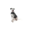 Thundershirt til hund Thundershirt til hund
