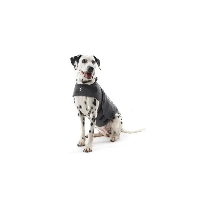 Thundershirt til hund Thundershirt til hund
