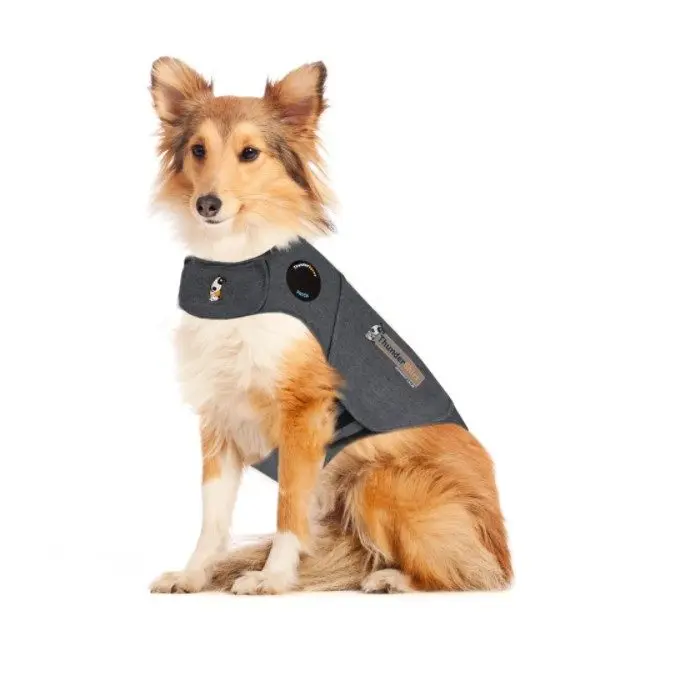 Thundershirt til hund Thundershirt til hund