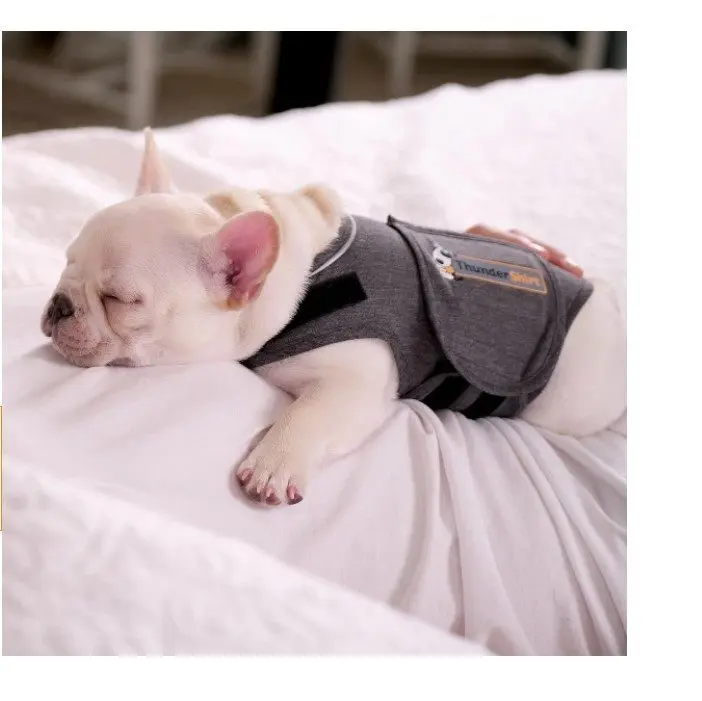 Thundershirt til hund Thundershirt til hund