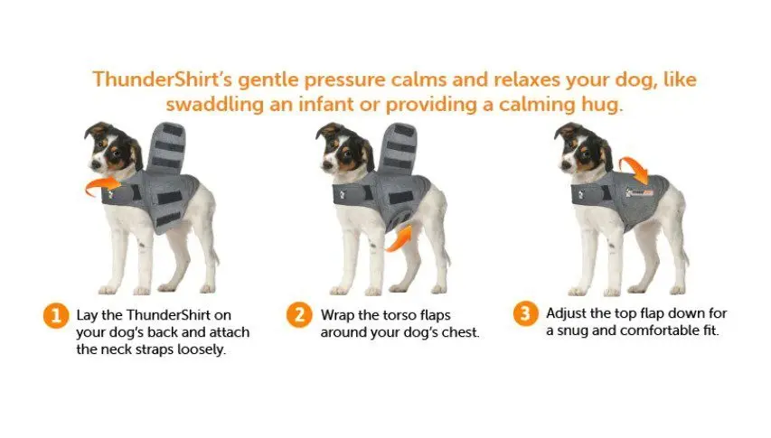 Thundershirt til hund Thundershirt til hund