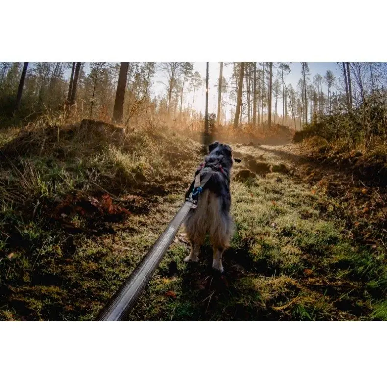 Non-Stop Dogwear Touring Bungee Leash Hundekobbel Strikk Non-Stop Dogwear Touring Bungee Leash Hundekobbel Strikk