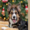 Trixie Adventskalender til hund Trixie Adventskalender til hund
