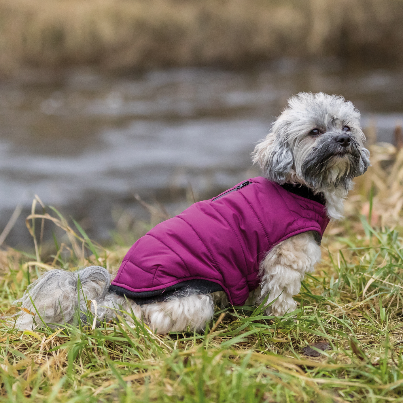 Trixie Arlay hundedekken Trixie Arlay hundedekken
