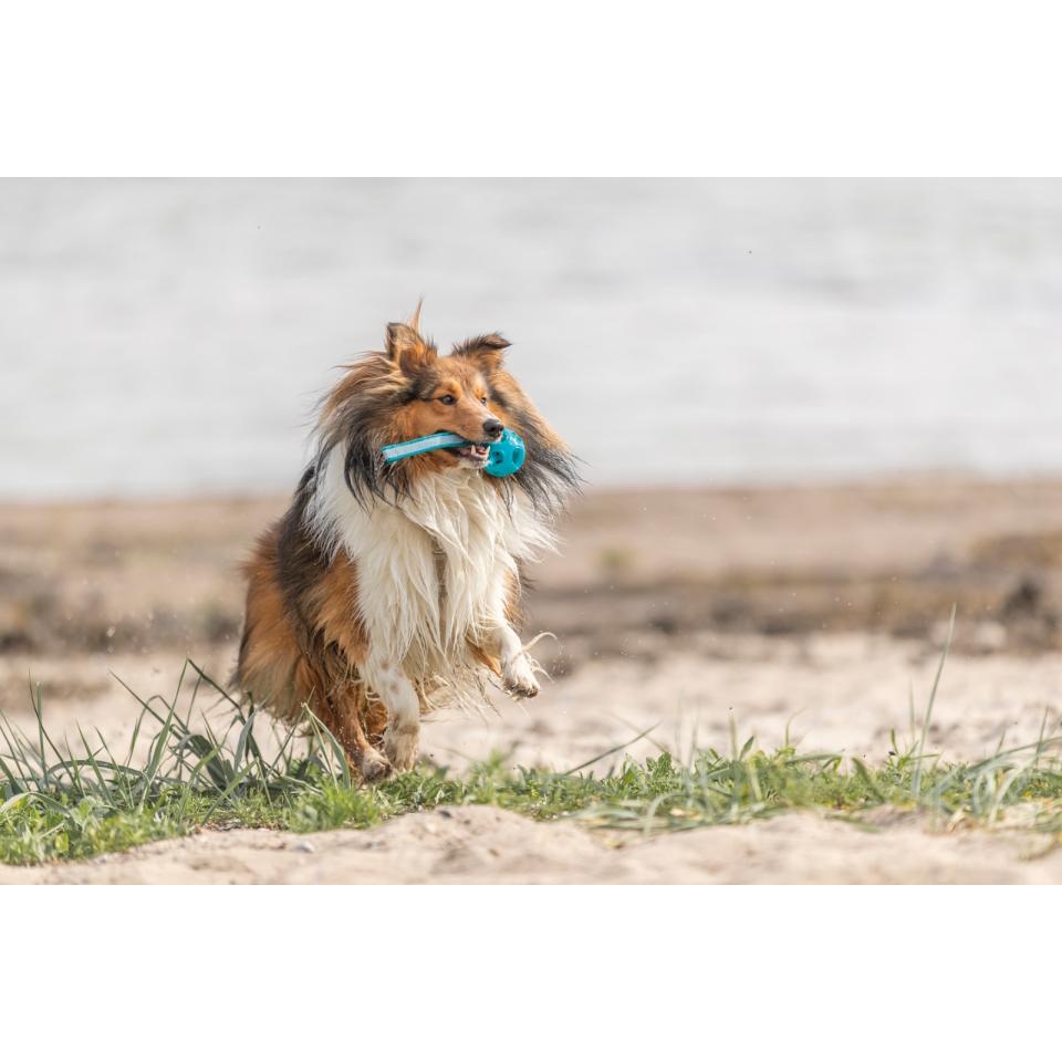 Trixie Beehive-ball på tau