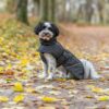 Trixie Brizon 2.0 Vinterjakke til Hund - Varm og Vanntett Trixie Brizon 2.0 Vinterjakke til Hund - Varm og Vanntett