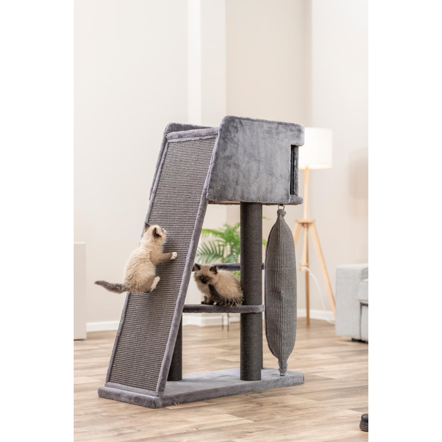 Trixie Kattetårn Active med klatrerampe
