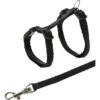 Trixie Kattunge sele med line Trixie Kattunge sele med line