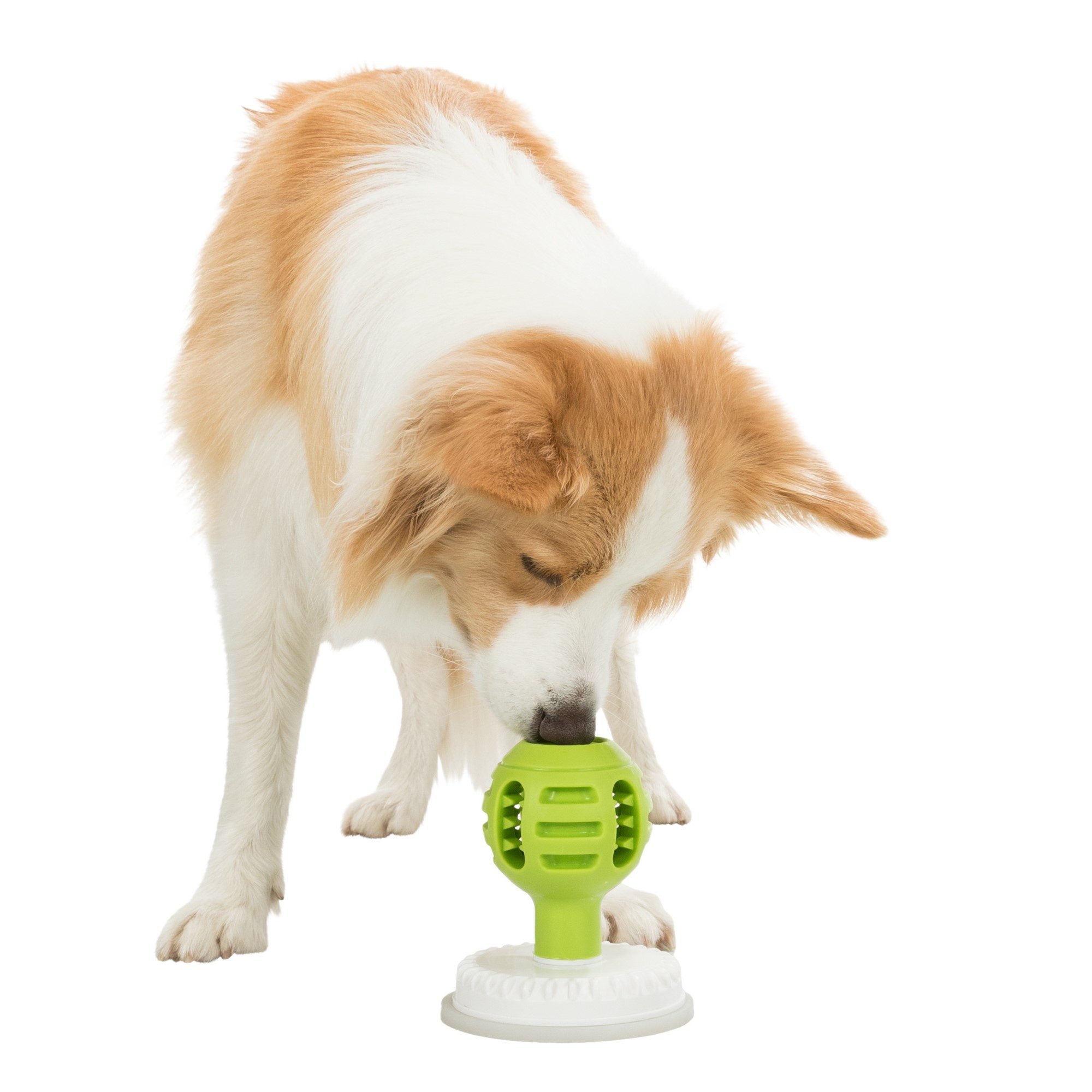 Trixie Lick'n'Snack Ball Aktivitetsleke med sugekopp