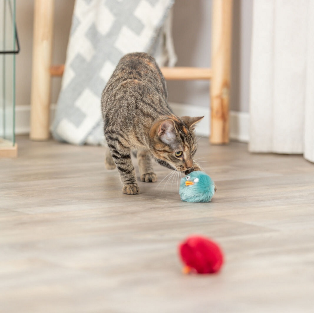 Trixie rangleball i plysj