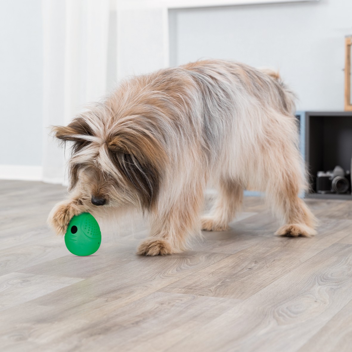 Roly Poly Snack Egg – godbit-leke til hund (vipper og ruller) Roly Poly Snack Egg – godbit-leke til hund (vipper og ruller)