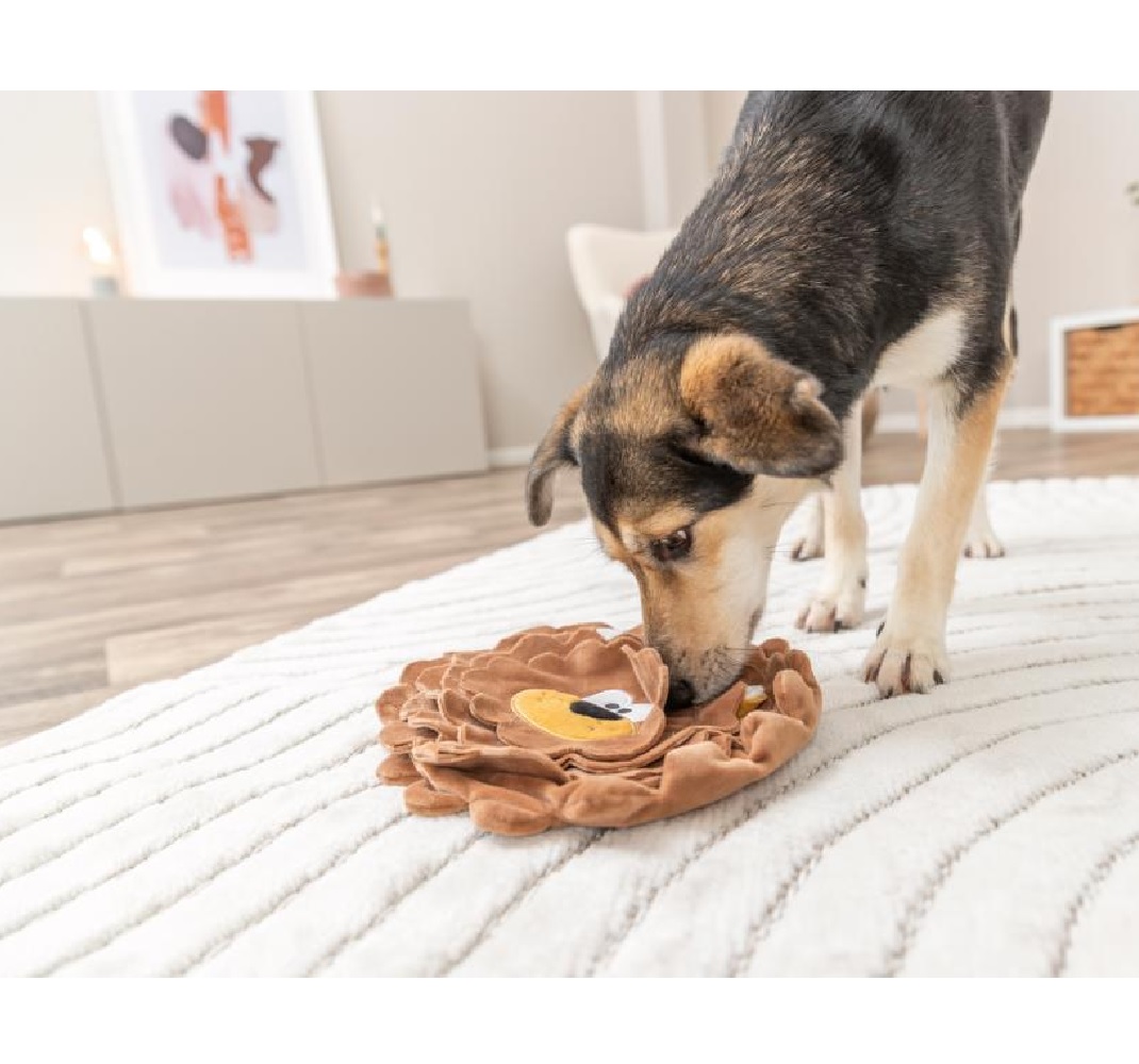 Trixie Snusematte Snack Løve- ø26cm