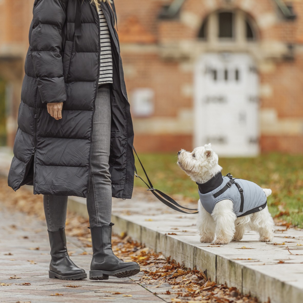 Trixie Vinterdekken med sele og refleks