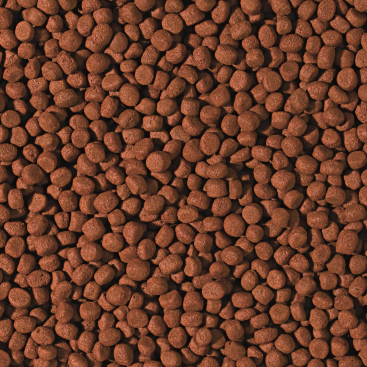 Tropical Cichlid Carnivore Medium Pellet