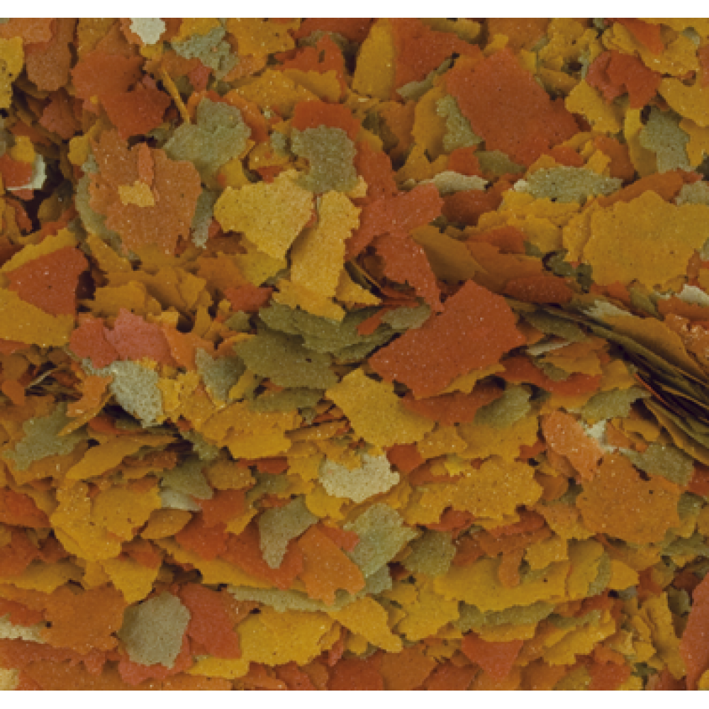 Tropical Goldfish Color Flakes